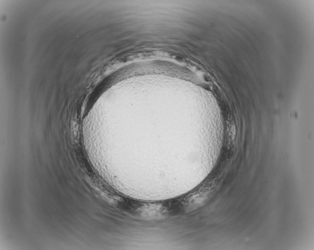X0000087690609200706011721