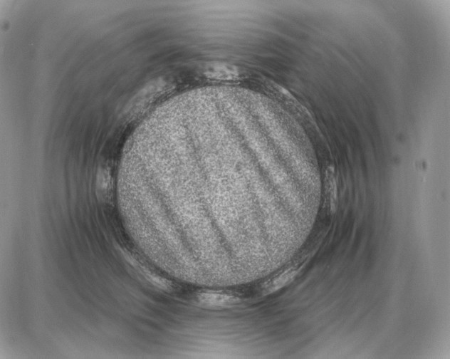 X0000087690614200706011721