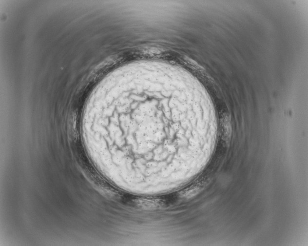 X0000087690615200706011721