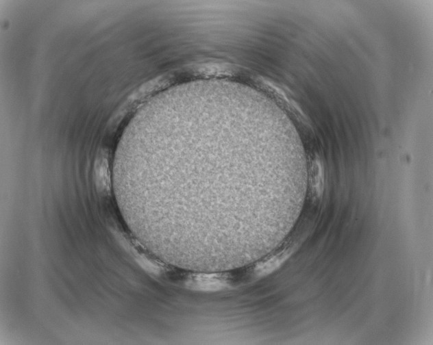 X0000087690622200706011721