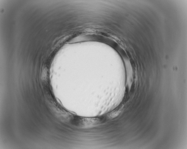 X0000087690623200706011721