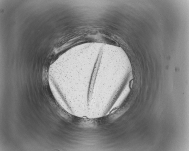 X0000087690624200706011721