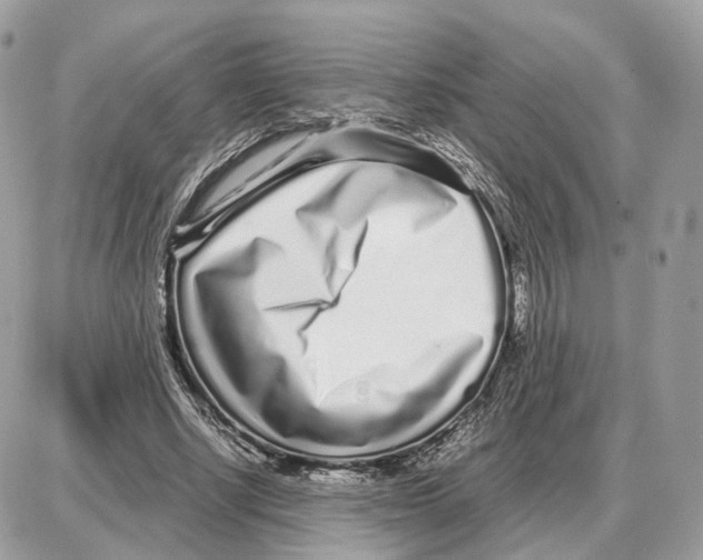 X0000087690634200706011720