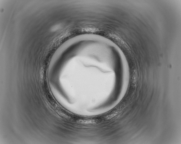 X0000087690639200706011720