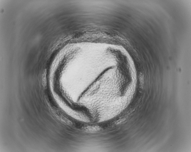 X0000087690642200706011720