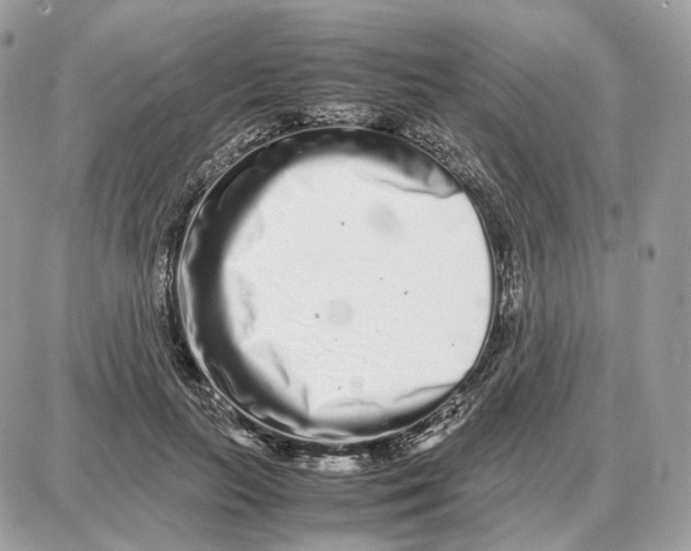X0000087690647200706011720