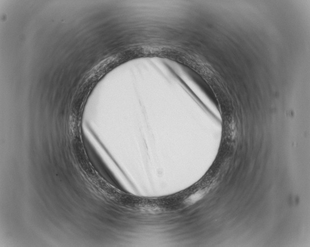 X0000087690648200706011720
