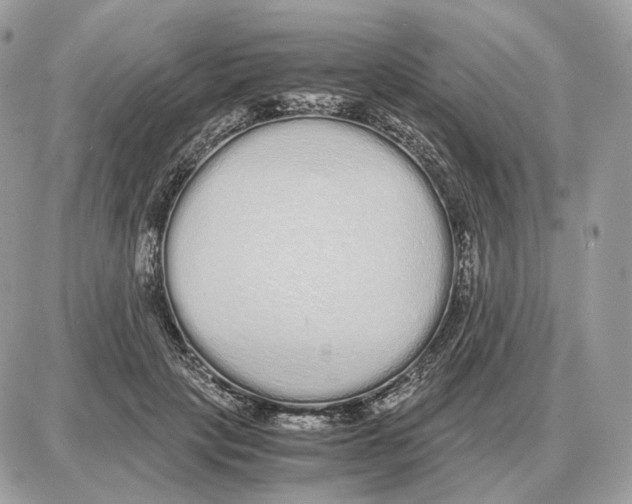 X0000087690649200706011720