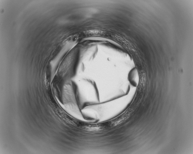 X0000087690651200706011720