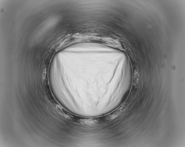 X0000087690652200706011720