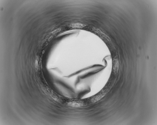 X0000087690655200706011720