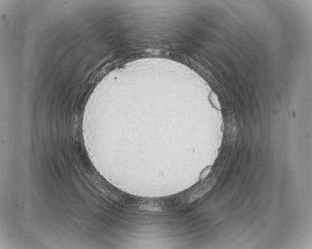 X0000087690656200706011720