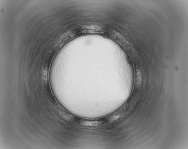 X0000087690657200706011720