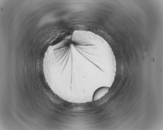 X0000087690658200706011720