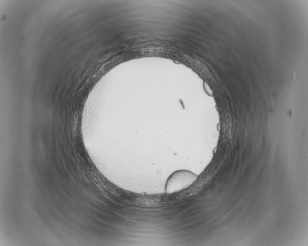 X0000087690660200706011720