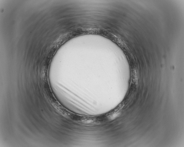 X0000087690662200706011720
