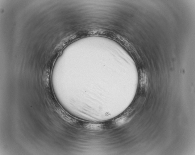 X0000087690664200706011720