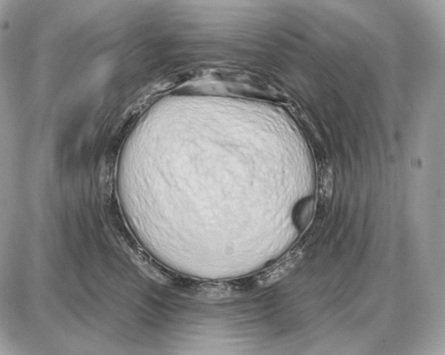 X0000087690666200706011720