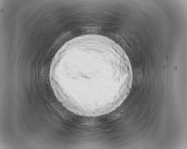 X0000087690667200706011720