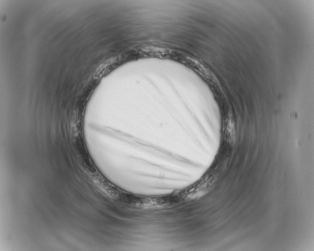 X0000087690668200706011720