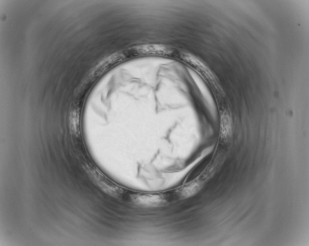 X0000087690669200706011720