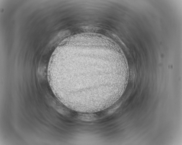 X0000087690671200706011721