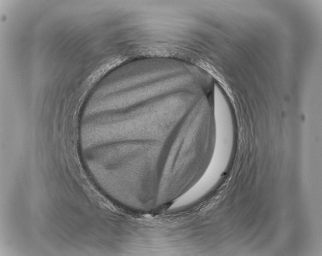X0000087690673200706011720