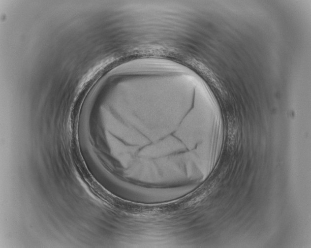 X0000087690674200706011720
