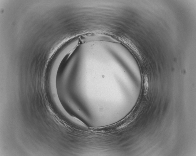 X0000087690676200706011720