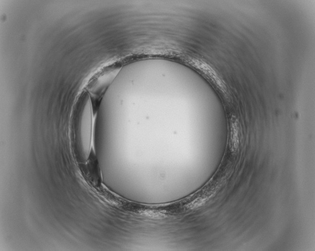 X0000087690680200706011720