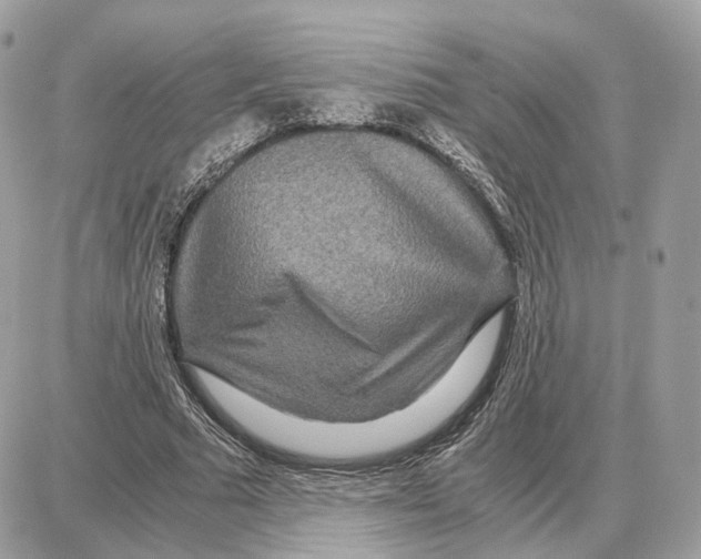 X0000087690681200706011720