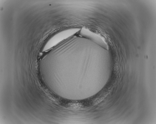 X0000087690689200706011719