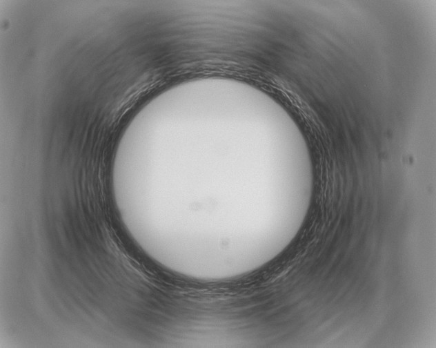 X0000087690696200706011719