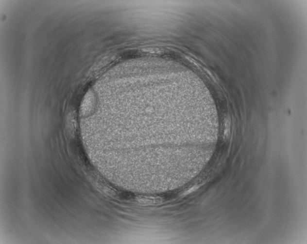 X0000087690707200706011719