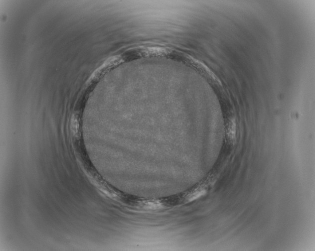 X0000087690715200706011719