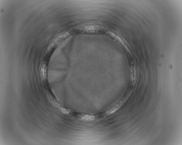 X0000087690718200706011719