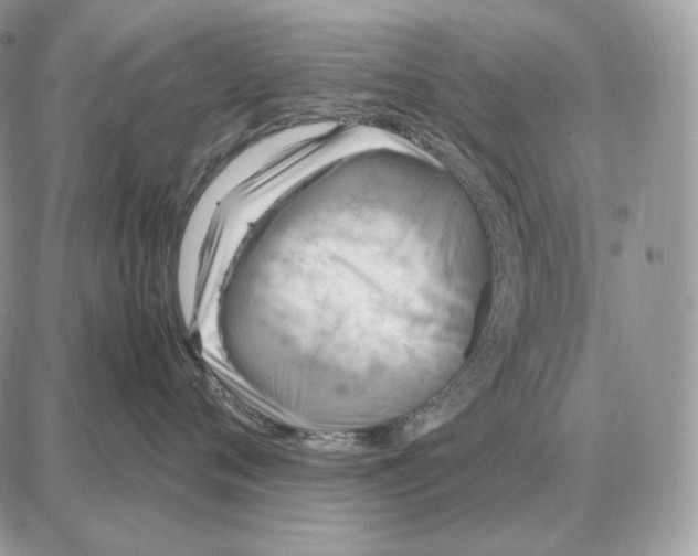 X0000087690720200706011719