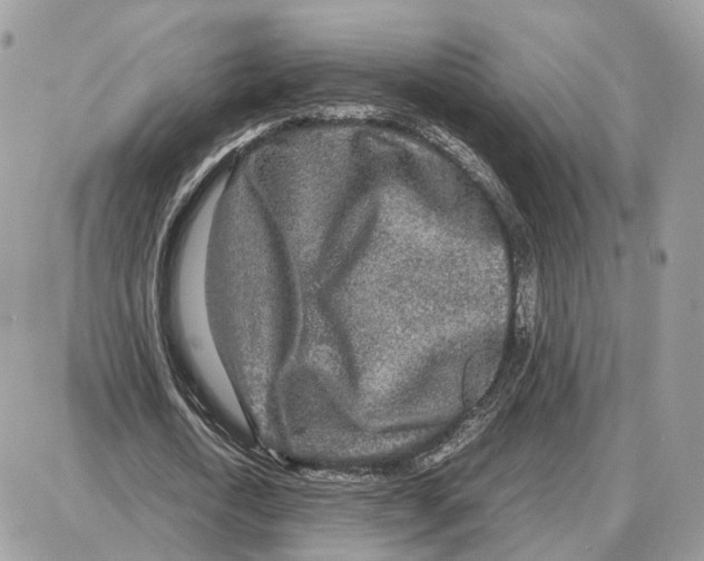 X0000087690722200706011718