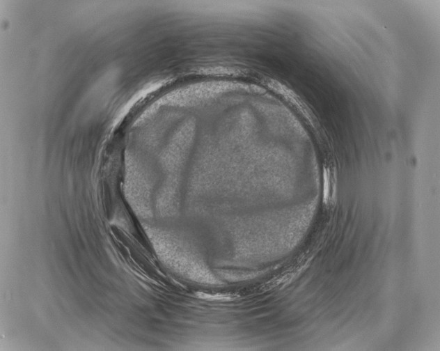 X0000087690723200706011718
