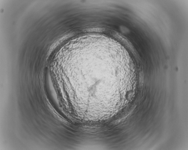 X0000087690725200706011718