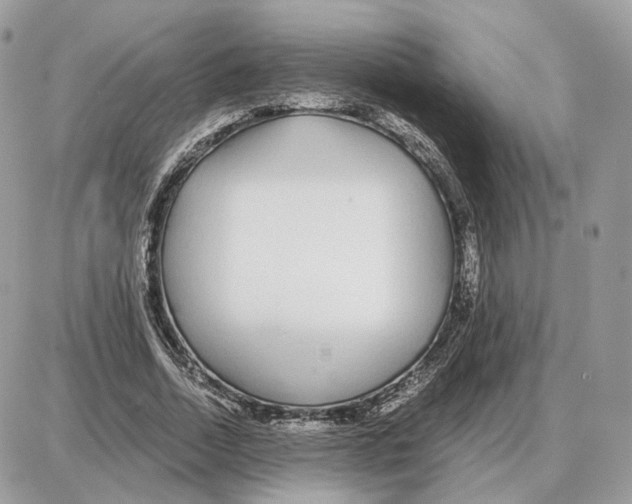 X0000087690730200706011718