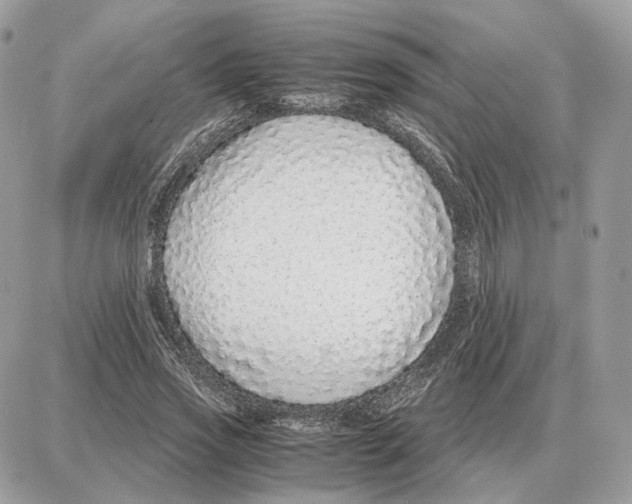 X0000087690733200706011718