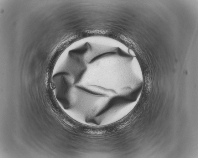 X0000087690735200706011718