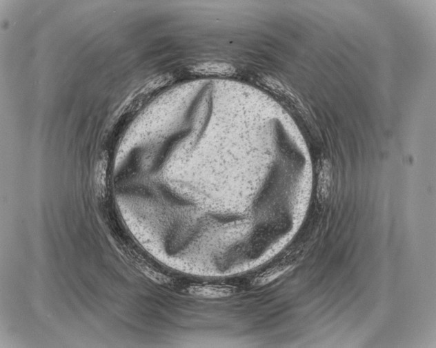 X0000087690739200706011719