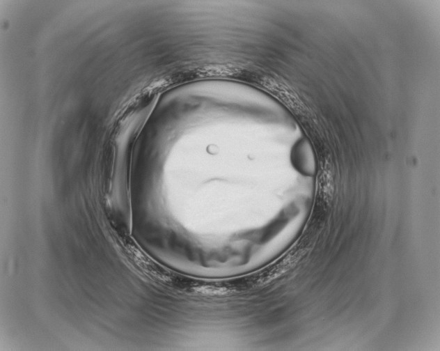 X0000087690742200706011719