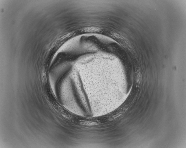 X0000087690743200706011719