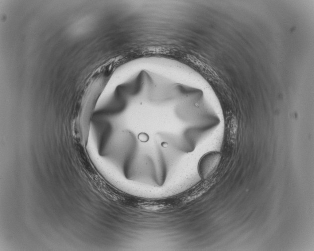 X0000087690746200706011719