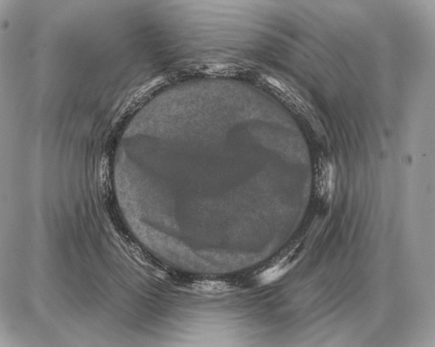 X0000087690748200706011719
