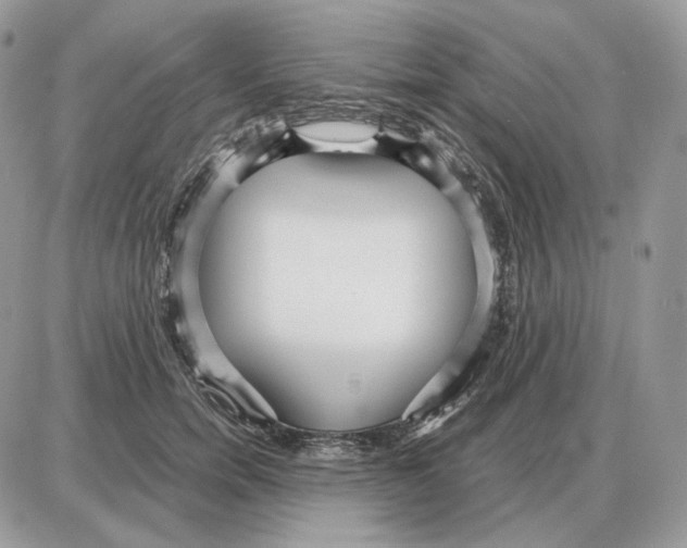 X0000087690750200706011719