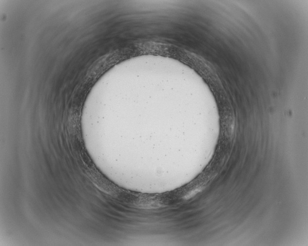 X0000087690753200706011719